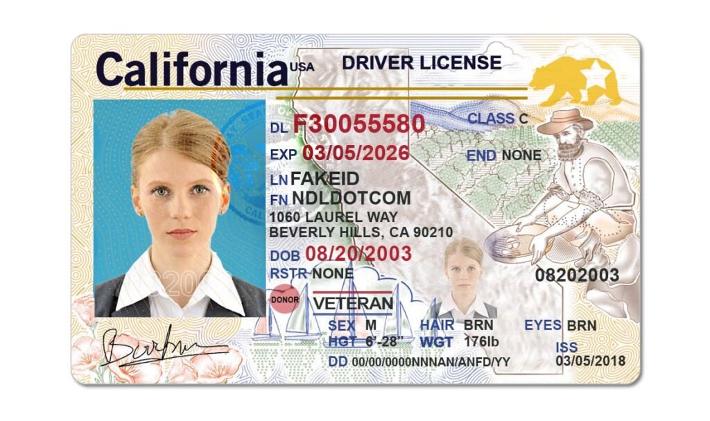 fake driving license online