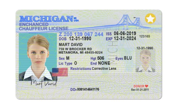 Michigan Fake Driver License