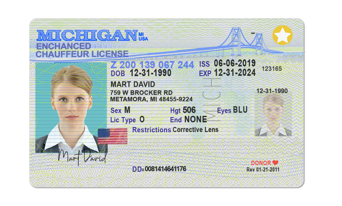 Michigan Fake Driver License 