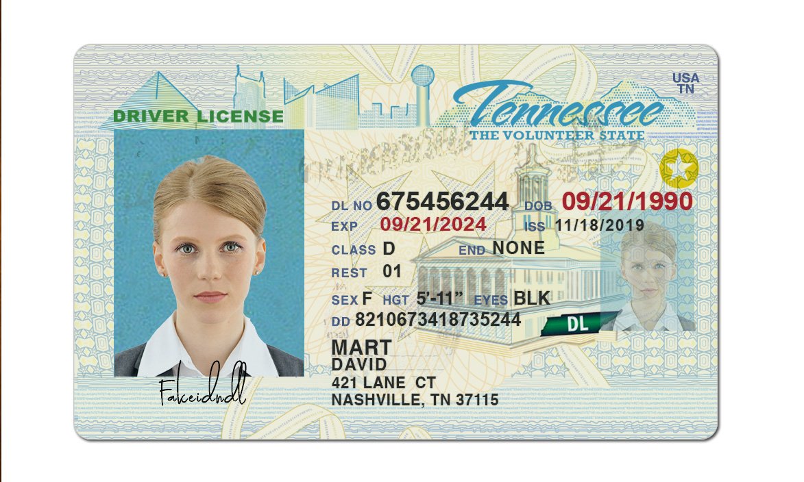 Tennessee Fake Driver License 2 Tennessee driver's license real id