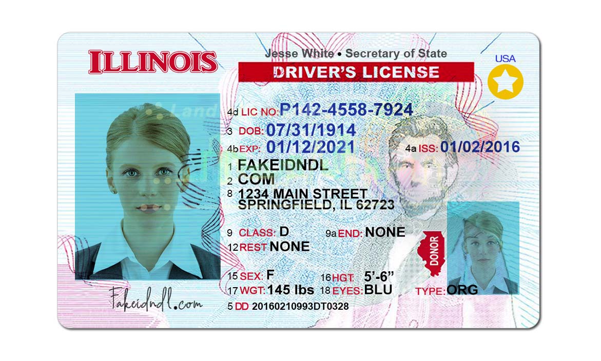 Fake Illinois Driver License