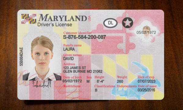 fake maryland driver's license