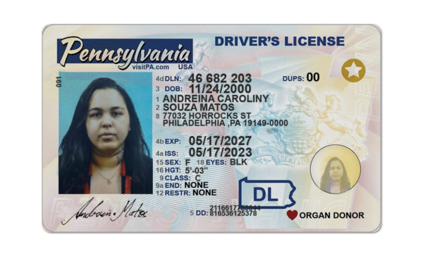 Fake Pennsylvania Driver License