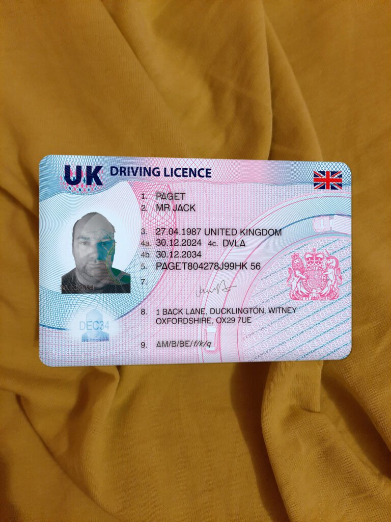 fake driver's licenses
