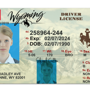 Fake Wyoming Driver License