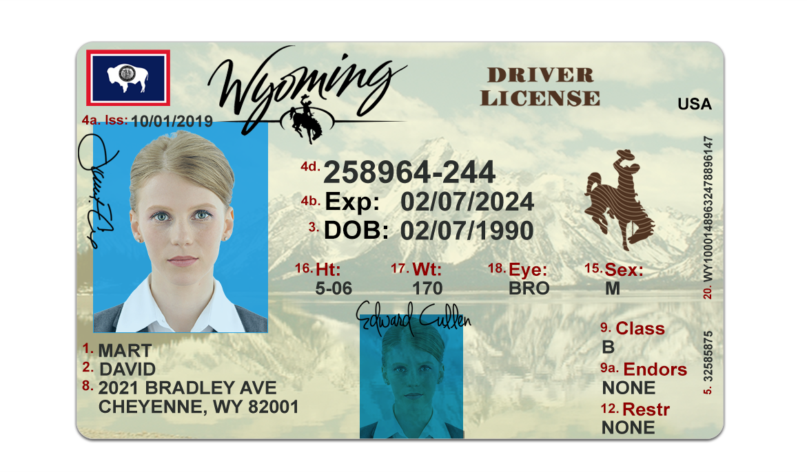 Fake Wyoming Driver License