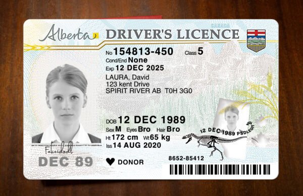 Fake Alberta Canada Driver License